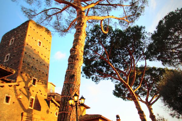 Hotel Castello della Castelluccia (Rome)